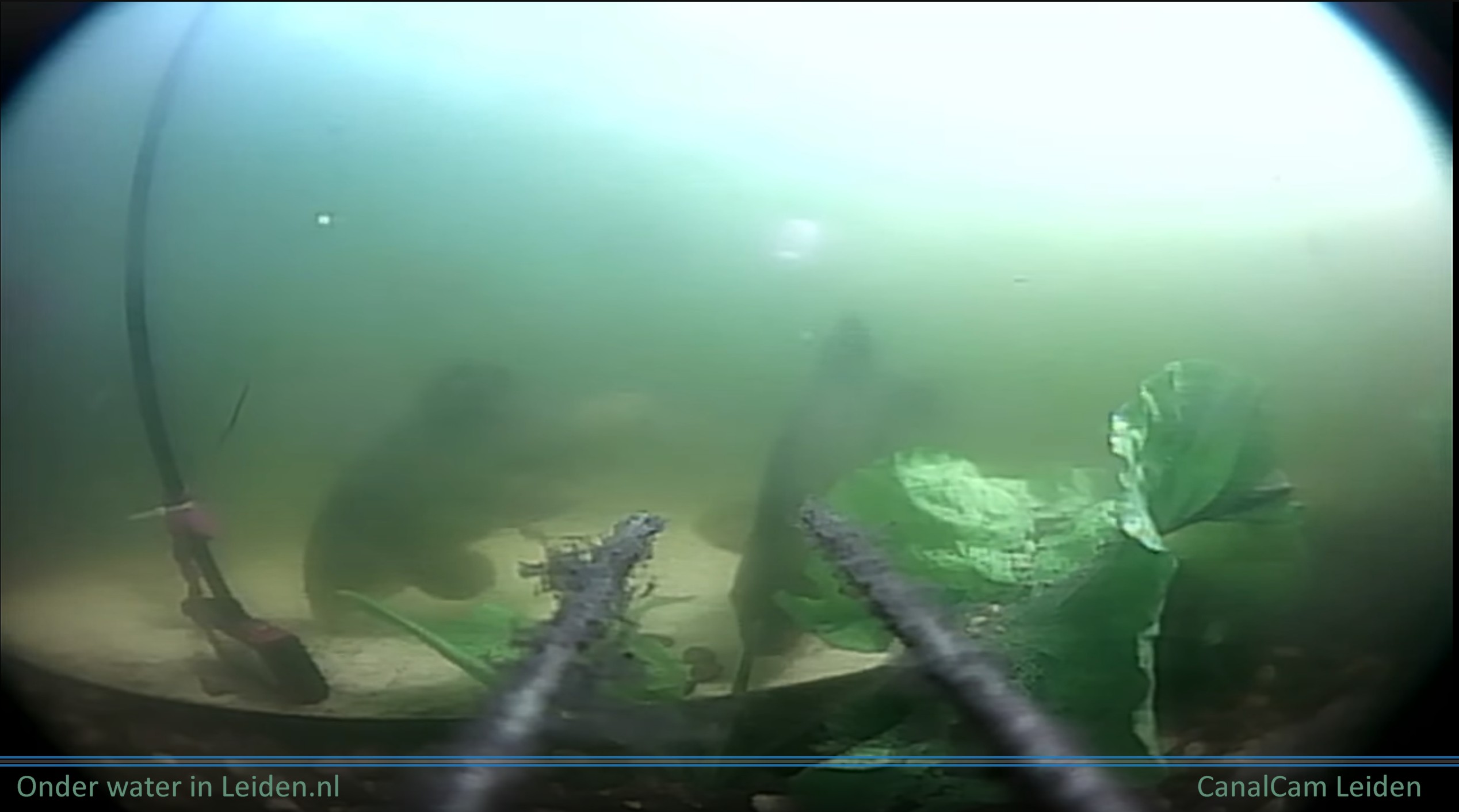Zeelt en Brasem op CanalCam Leiden