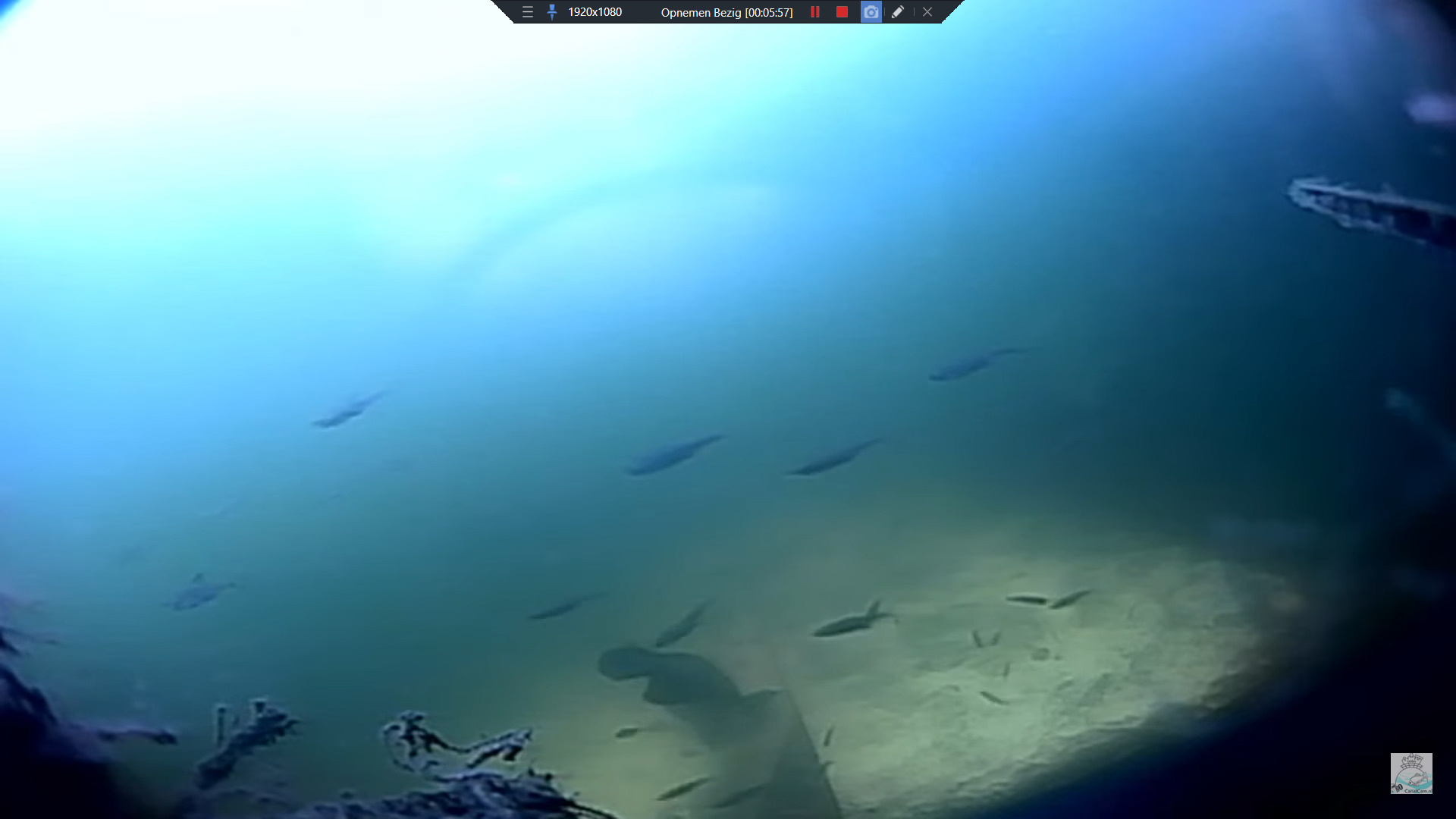 Visbroed op CanalCam Leiden