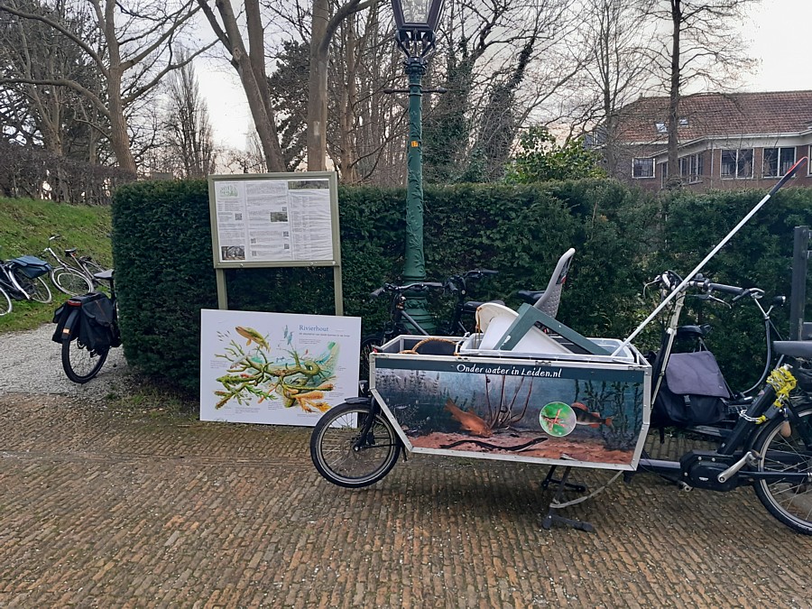 De bakfiets van Onder water in Leiden met het informatiebord over Rivierhout op Begraafplaats Groenesteeg, alwaar het kunstrif te water is gelaten