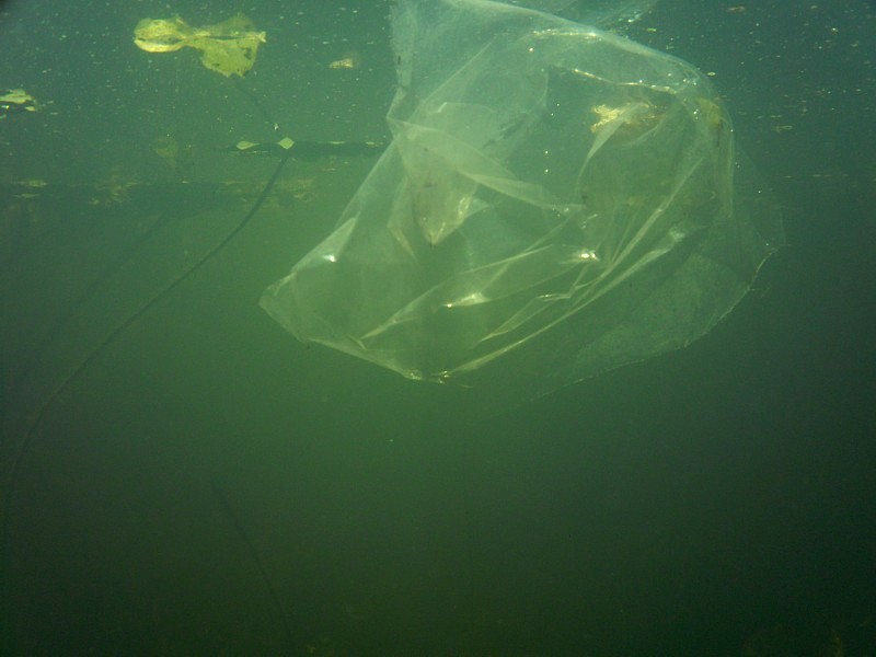Een plastic zak in de gracht eindigt uiteindelijk in de oceaan, als Plastic Soup