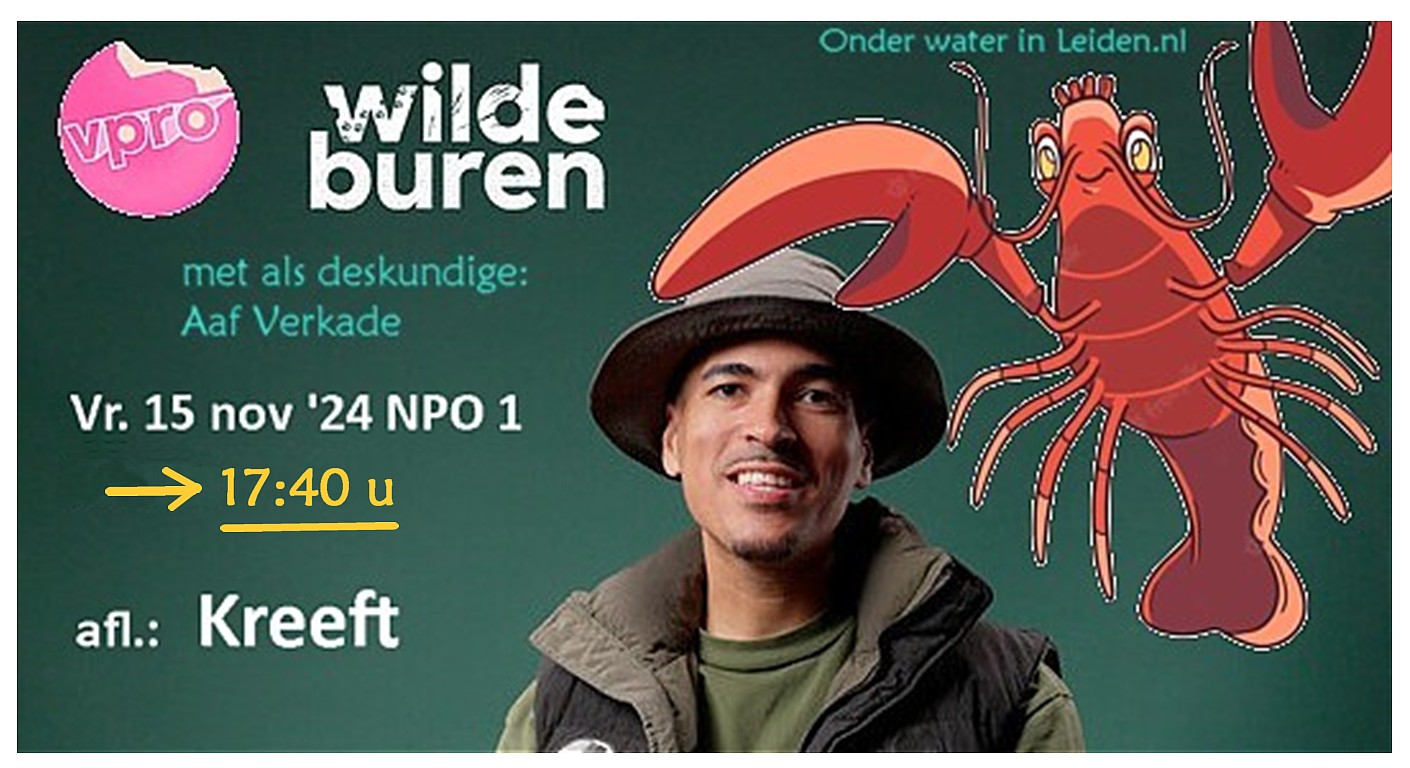 Wilde Buren Kreeft 15nov2024