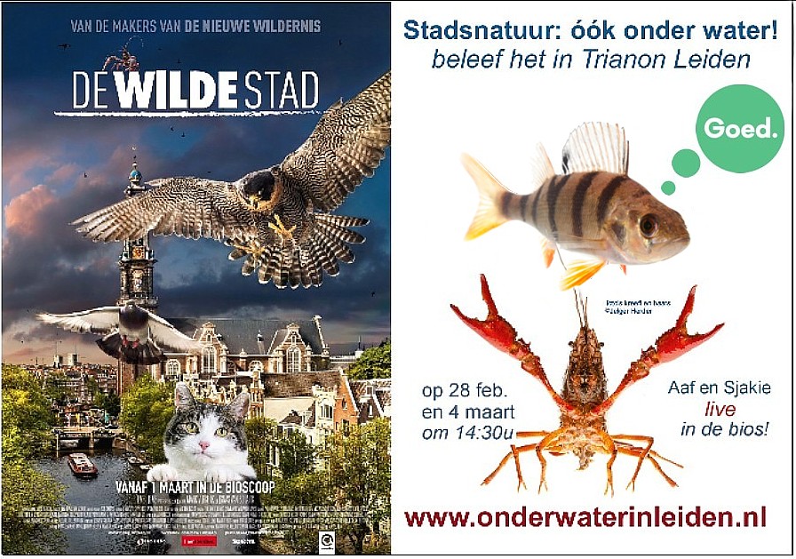 wilde dieren in de stad, ook in Leiden