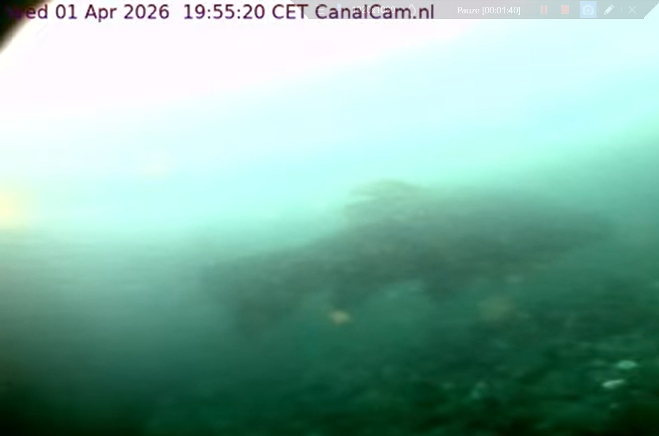 Zeelt Touché lookalike, 2026