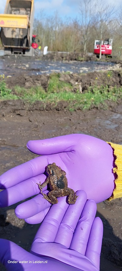 Dit padje werd gered