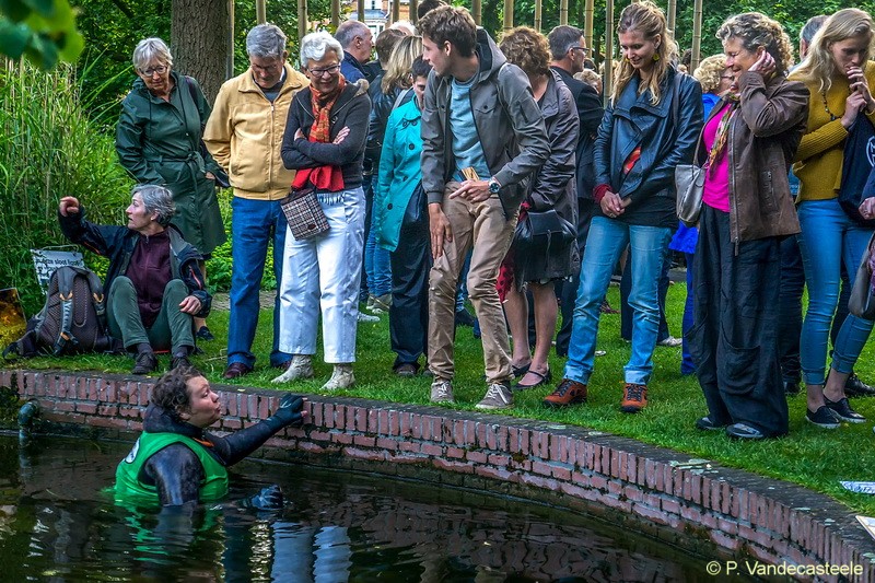voorlichting over stadswaterbewoners aan bezoekers van de midzomernacht, Hortus botanicus Leiden, 2016