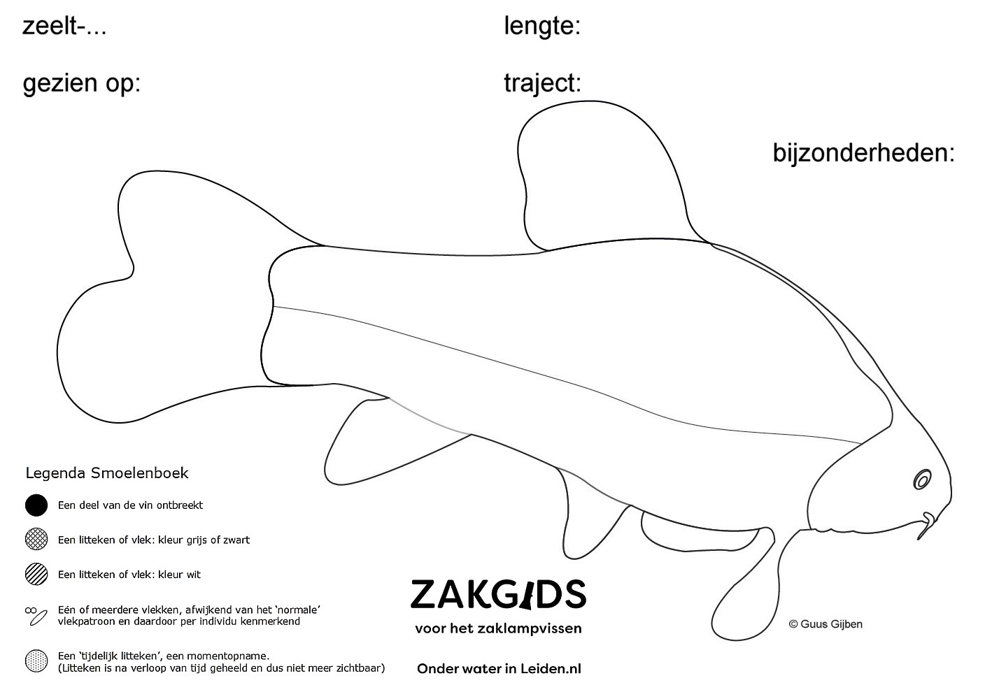 lijntekening zeelt rechterflank: uit de zakgids voor het zaklampvissen