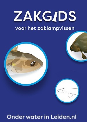 Zakgids voor het Zaklampvissen door Aaf Verkade en Guus Gijben