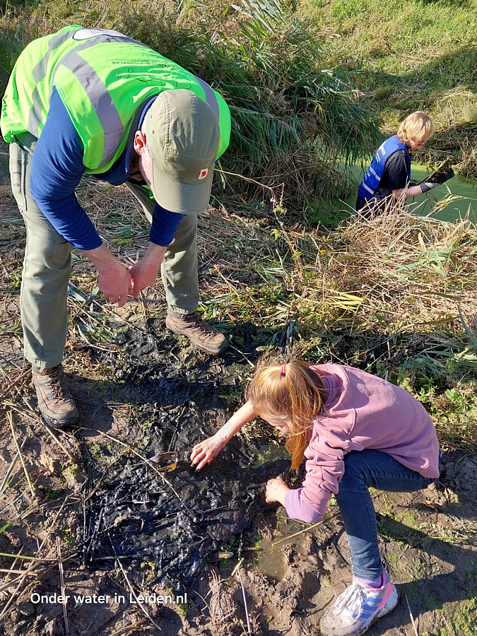 bagger_diertjes_redden_Onder_water_in_Leiden.jpg